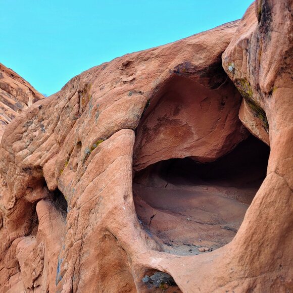 Fossil Collectable 1954 Dude Ranch Watch Tin - Picture 11 of 15